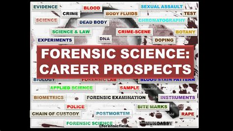 what jobs are similar to a forensic scientist